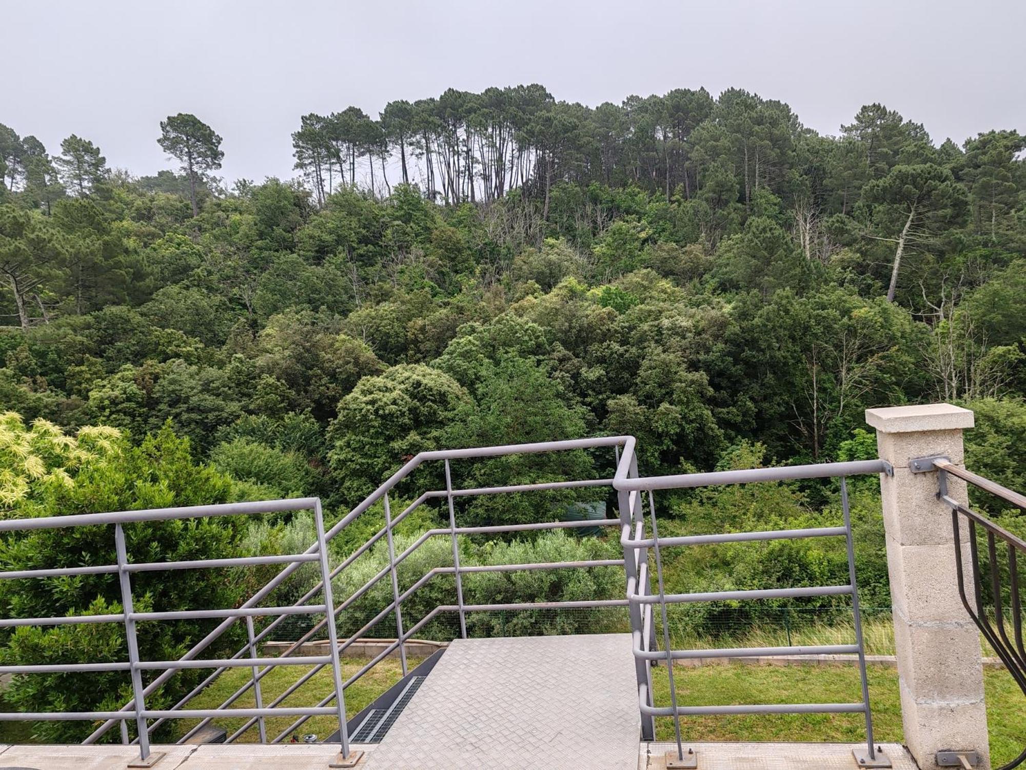 Les Chataigniers Appartement Meuble Saint Sebastien d'Aigrefeuille エクステリア 写真